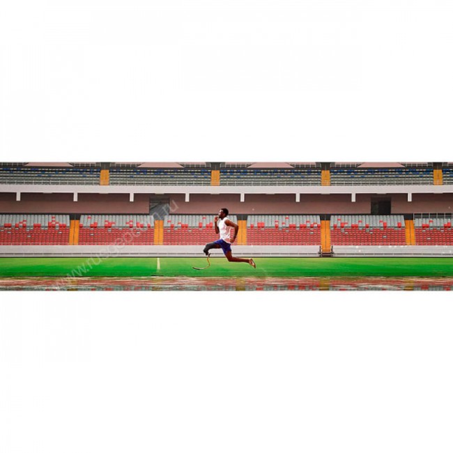 Часы Garmin Forerunner 55 аква Часы Garmin Forerunner 55 аква